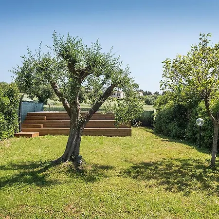 N084 - Numana, Quadrilocale Con Meraviglioso Giardino Apartamento Numana