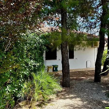 N084 - Numana, Quadrilocale Con Meraviglioso Giardino Appartement Numana